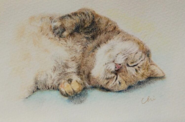 CHI☆YOさんご本人による作品解説